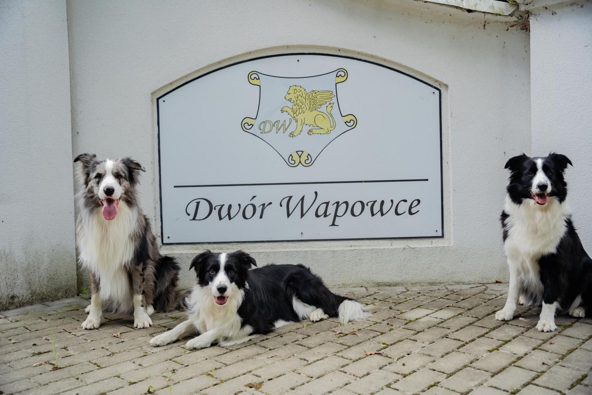Dwor Wapowce Otel Dış mekan fotoğraf